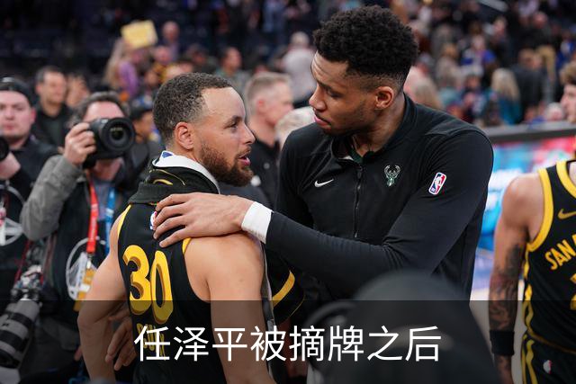 任泽平被摘牌之后