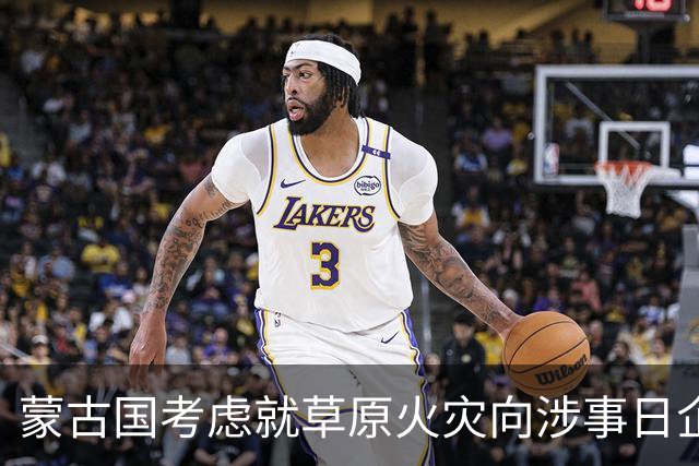 蒙古国考虑就草原火灾向涉事日企索赔
