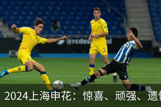 2024上海申花：惊喜、顽强、遗憾--明年拿冠军