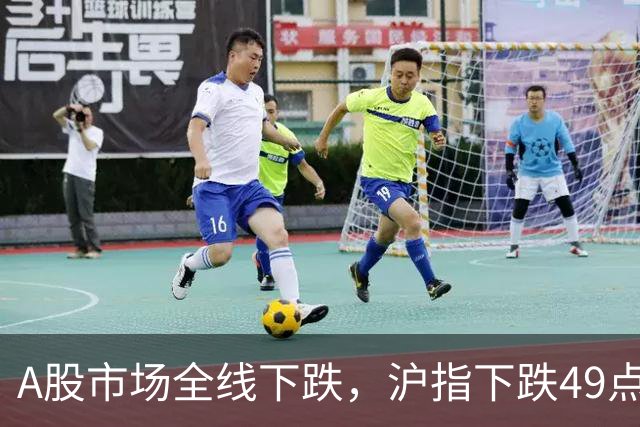A股市场全线下跌，沪指下跌49点，科创板下跌4.8%再创创新低