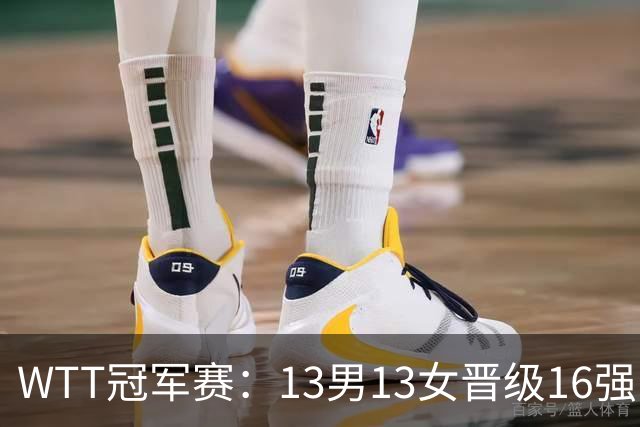 WTT冠军赛：13男13女晋级16强！国乒8人日本4人，张本智和一轮游